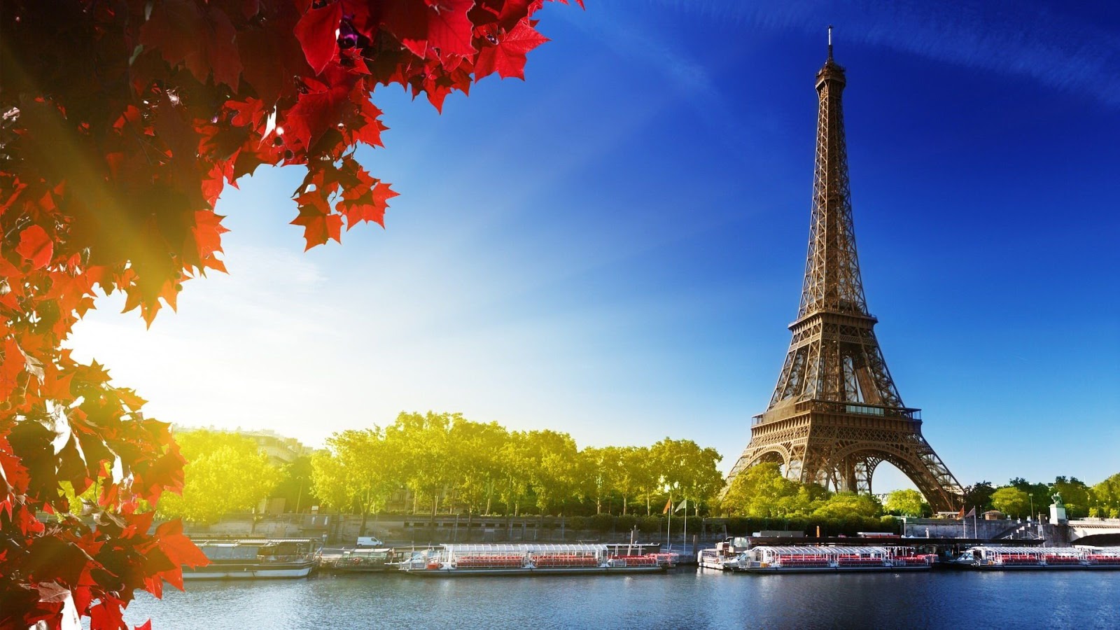Preciosa instantánea de la Torre Eiffel