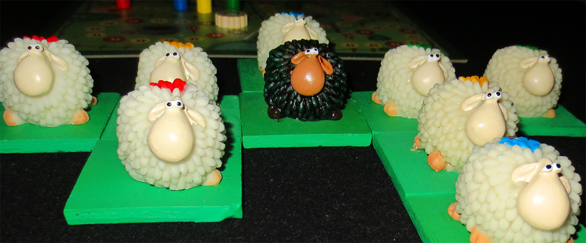 Plano de las ovejas