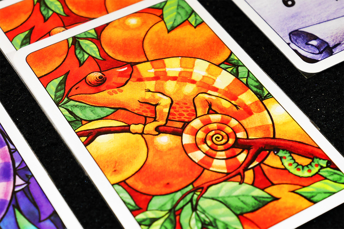Coloretto Gioco Di Carte Per 2-10 Giocatori – Edizione 10 Anni – Famosa Oya
