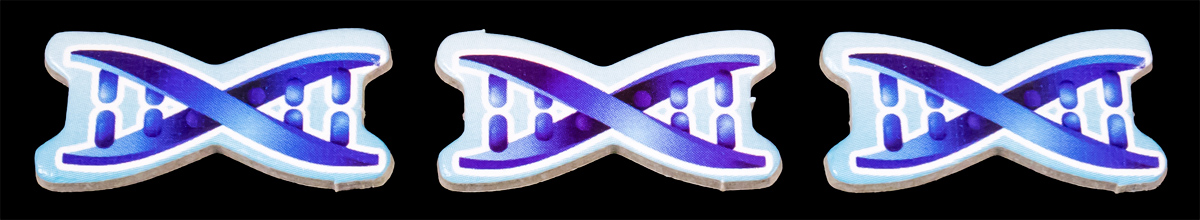 Fichas de ADN