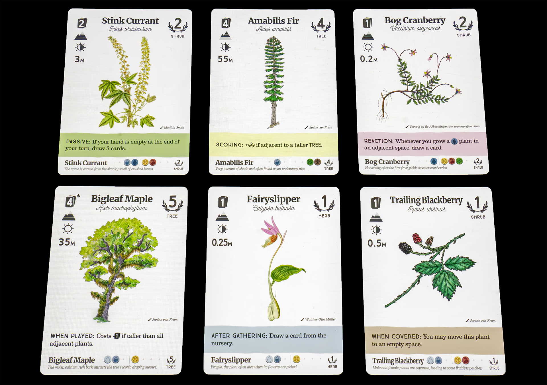 Cartas de Planta